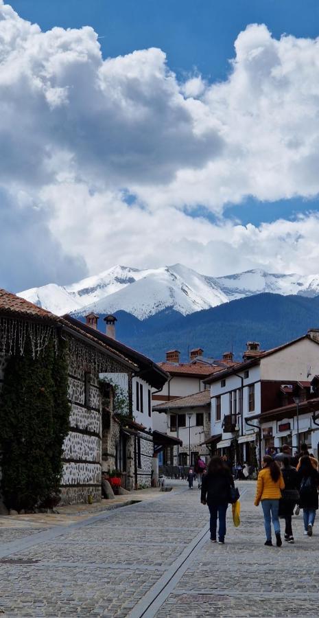 Green Life, Bansko, Private Studio C-17 Exterior photo