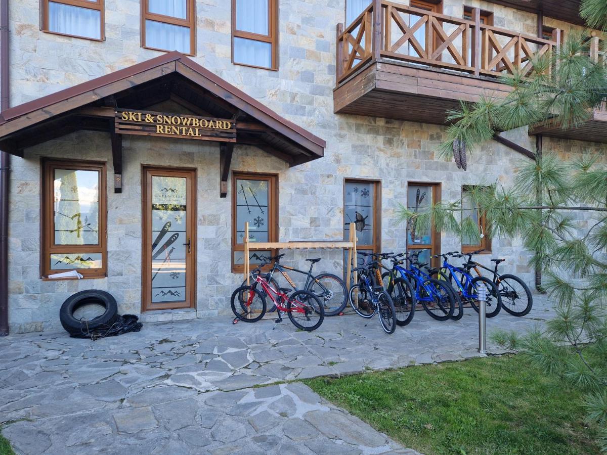 Green Life, Bansko, Private Studio C-17 Exterior photo